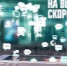 Телеком-эксперты помогают «разогнаться» в интернете - Vishime.Ru