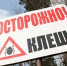 Будьте внимательны: клещи активизировались - Ishimka.Ru