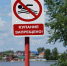 Купание в неустановленных местах запрещено! - Муниципальное образование