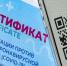 Теперь и в кафе: мест, где на входе спросят QR-код, в Тюменской области станет больше - Сетевое издание Ишимская правда