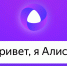 Голосовой помощник "Алиса" передаст жалобу в органы власти - Сетевое издание Ишимская правда
