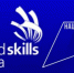 Тренировка Worldskills в онлайн формате - Медицинский колледж