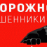 Тюменец пострадал от действий мошенников при покупке автозапчастей - Сетевое издание Ишимская правда