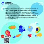 Неделя поддержания и укрепления иммунитета