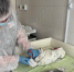 Патологий у новорожденных не выявлено - Сетевое издание Ишимская правда