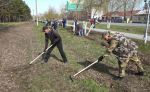 На этой неделе в Ишиме проходит череда субботников