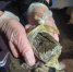 Ишимские полицейские задержали жителя Новосибирска, перевозившего пять килограммов наркотиков - Сетевое издание Ишимская правда