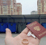 Почему почти невозможно найти выброшенные по ошибке вещи? - Сетевое издание Ишимская правда