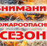 Пожароопасный сезон в Тюменской области будет установлен с 6 апреля - Сетевое издание Ишимская правда