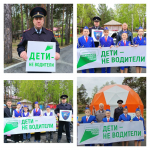 Сотрудники Госавтоинспекции провели фоточеллендж #ДетиНеВодители